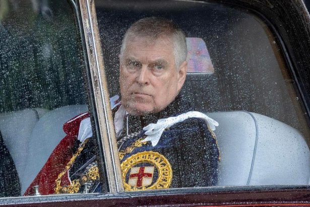 Andrew Mountbatten Windsor’s ‘Porn’ and ‘Hookers’-Filled Trips Exposed