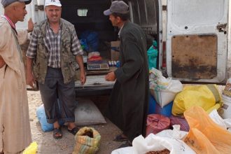 Argan oil co-operatives in Morocco ‘pushed to margins’