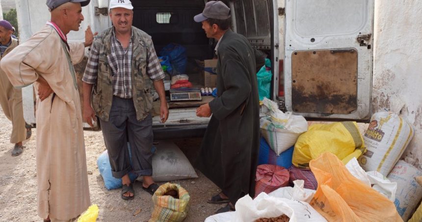 Argan oil co-operatives in Morocco ‘pushed to margins’