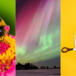 Awesome Auroras, Morse Code For Bees, And More! : ScienceAlert