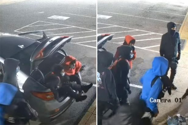 Band of 9 thieves pile out of small car — even from the trunk: video