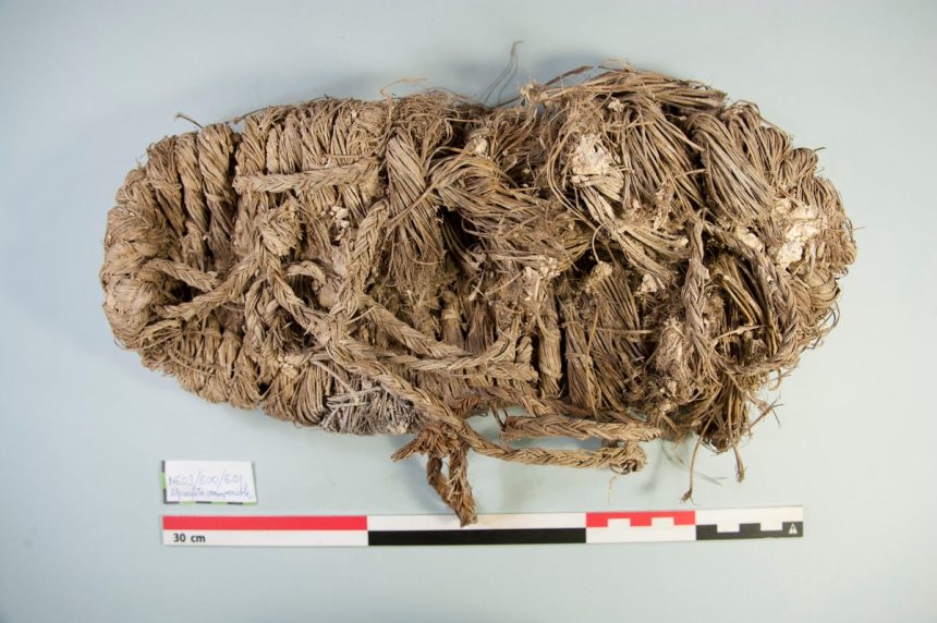 Bearded Vulture Nests Hold 600 Years of Human Artifacts in Spanish Caves