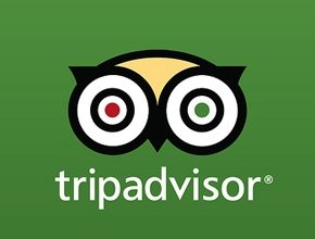 Bernstein Affirms Outperform Stance as Tripadvisor, Inc. (TRIP) Downplays Viator Spinoff Calls