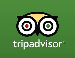 Bernstein Affirms Outperform Stance as Tripadvisor, Inc. (TRIP) Downplays Viator Spinoff Calls