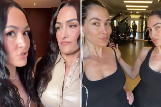 Nikki and Brie Bella are WWE Hall of Famers [Image credits: Brie