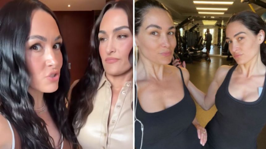 Nikki and Brie Bella are WWE Hall of Famers [Image credits: Brie