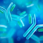 Bispecific Antibodies Signal A New Era For Autoimmune Disease Treatment