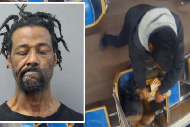 Blue Line fire attacker yelled ‘Burn alive b****!’ as officers took him into custody