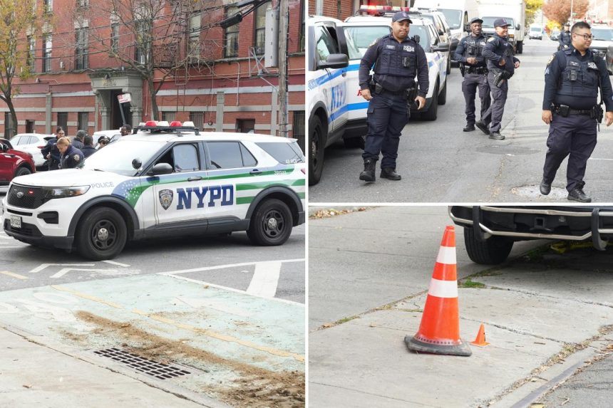 Boy, 16, shot on grounds of NYC public housing complex: cops