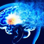 Brain-Training App ‘Reverses 10 Years’ of Decline in a Key Brain System : ScienceAlert