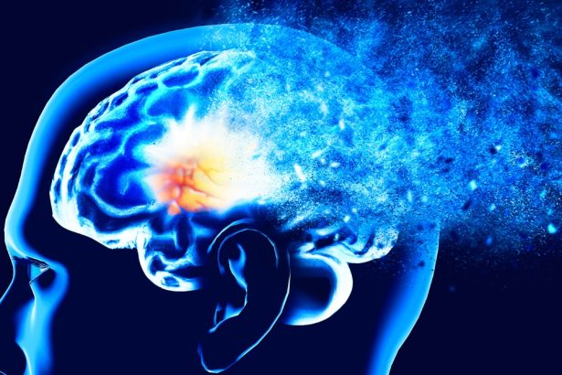 Brain-Training App ‘Reverses 10 Years’ of Decline in a Key Brain System : ScienceAlert