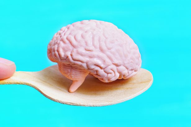 Breakthrough Helps Scientists Grow More Realistic Human Brain Models : ScienceAlert