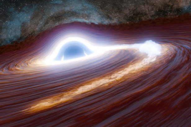 Brightest black hole flare ever caused by huge star being ripped apart