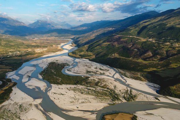 Business With a Backbone | Grist