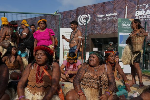 COP30 has plans to save the rainforest. Indigenous activists say it’s not enough