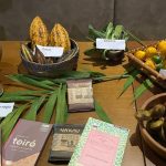 COP30 shines spotlight on sociobioeconomy