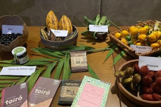 COP30 shines spotlight on sociobioeconomy