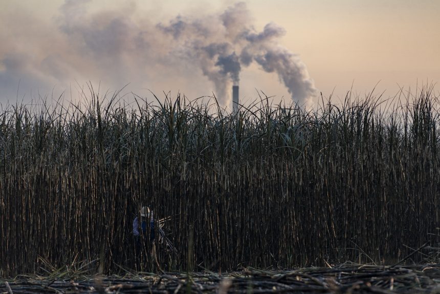 COP30’s biofuel gamble could cost the global food supply — and the planet
