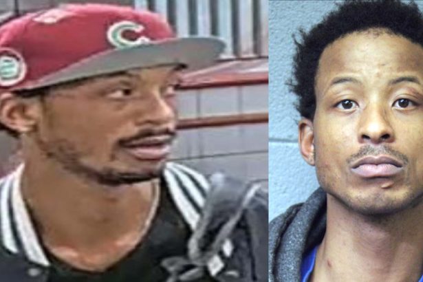 CTA robber beat victim with meat tenderizer: prosecutors