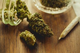 Cannabis Use Is Linked to Epigenetic Changes, Scientists Discovered : ScienceAlert