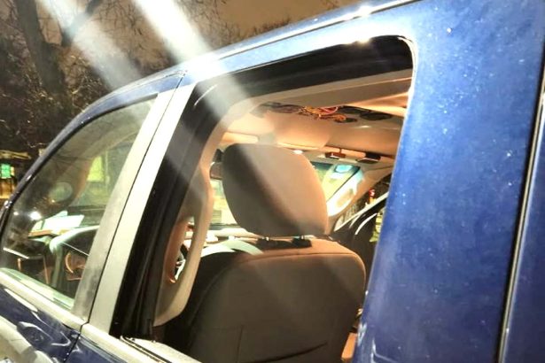 Car break-ins surge as Zoo Lights crowds flock to Lincoln Park