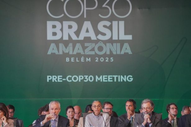 Carbon credits ‘a free pass for polluters’