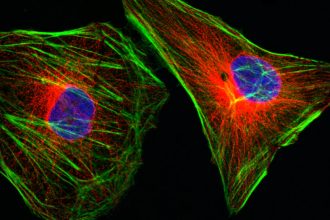 Cervical cancer, HPV shot, lorazepam: Morning Rounds