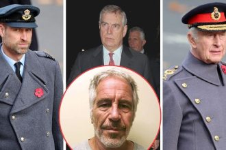 Charles and William ‘On Relentless Charm Offensive’ to ‘Save the Monarchy’