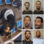 Chicago career criminal Lawrence Reed had over 70 arrests before setting woman on fire in train attack