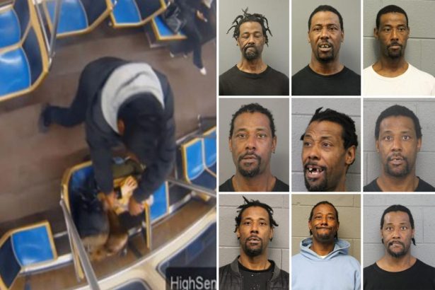 Maniac accused of setting Chicago train rider on fire now charged with trying to torch City Hall