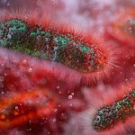 Children With Autism, ADHD, And Anorexia Share a Common Microbe Imbalance : ScienceAlert