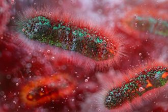 Children With Autism, ADHD, And Anorexia Share a Common Microbe Imbalance : ScienceAlert