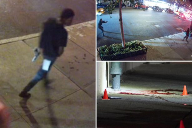 Chilling footage shows ‘Wild West’ moment NYPD cop fatally shoots gun-toting maniac