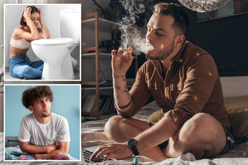 Chronic pot smokers warn ‘scromiting’ worse than childbirth