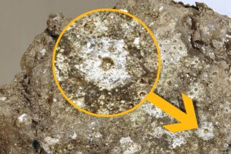 Constant Rain of Tiny Meteoroids Poses ‘Silent Threat’ to Future Moon Base : ScienceAlert