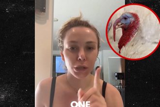 Courtney Stodden Says She Feels Like Turkey Who Didn’t Get Pardoned