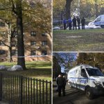 Dead baby found stuffed in bag, ditched in pile of leaves in NYC