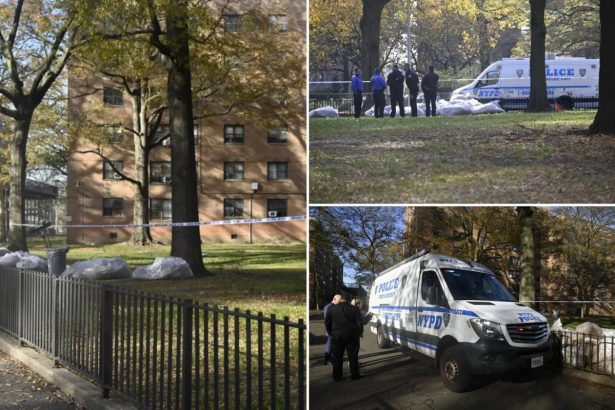 Dead baby found stuffed in bag, ditched in pile of leaves in NYC