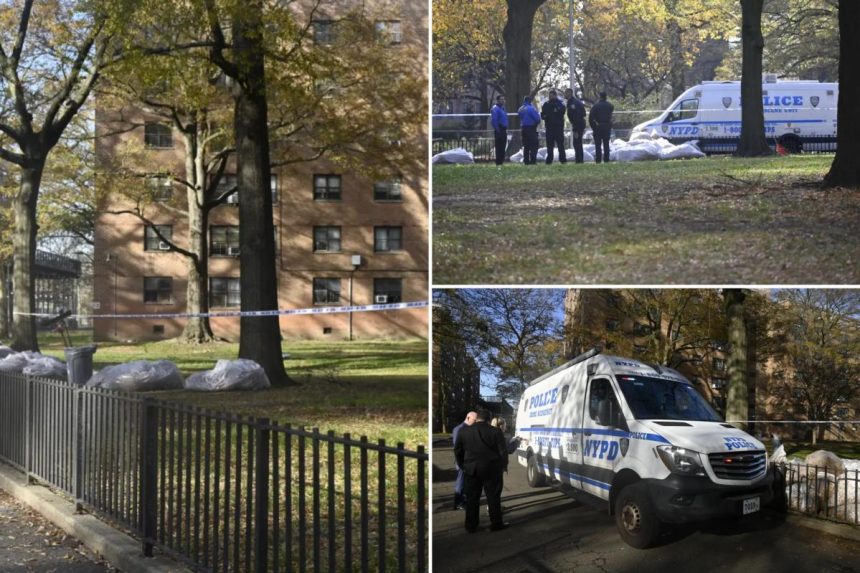 Dead baby found stuffed in bag, ditched in pile of leaves in NYC