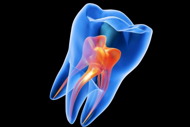 Dentists Could Soon ‘Regrow’ Your Tooth Enamel With a Simple Gel : ScienceAlert