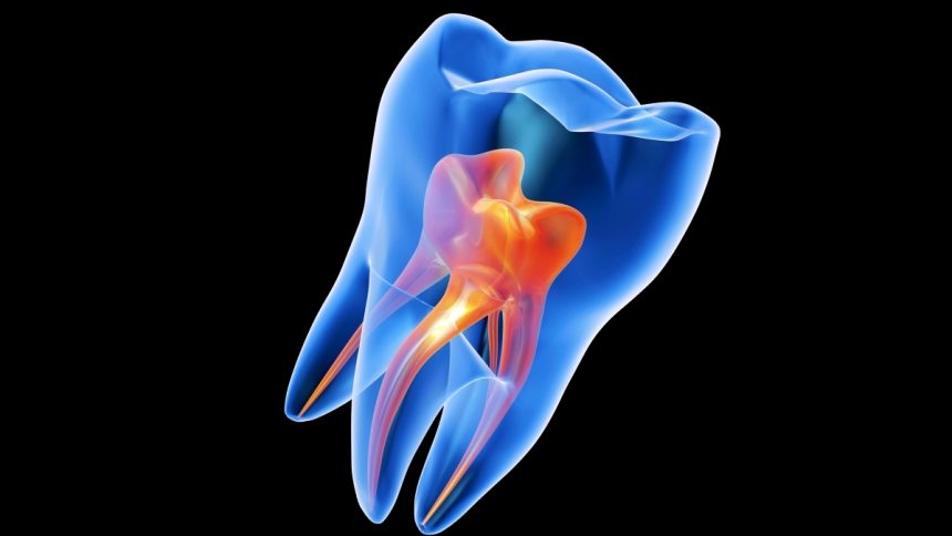 Dentists Could Soon ‘Regrow’ Your Tooth Enamel With a Simple Gel : ScienceAlert