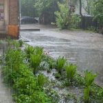 Design Your Landscaping to Handle Stormwater Runoff