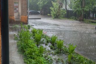 Design Your Landscaping to Handle Stormwater Runoff
