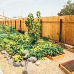 Developing a green thumb while young can prevent cancer, study finds