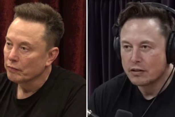 Doctors Concerned By Elon Musk’s Appearance in New Joe Rogan Interview