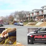 Dog accidentally shoots owner in the back as he was cleaning gun