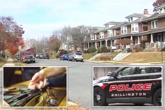 Dog accidentally shoots owner in the back as he was cleaning gun