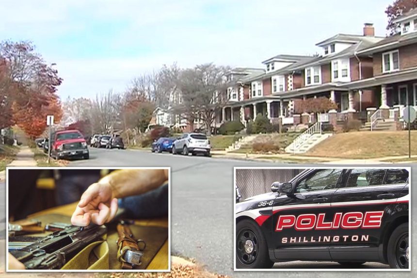 Dog accidentally shoots owner in the back as he was cleaning gun