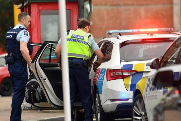 Dunedin woman arrested after attempted arson: police