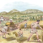 Easily taxed grains were crucial to the birth of the first states